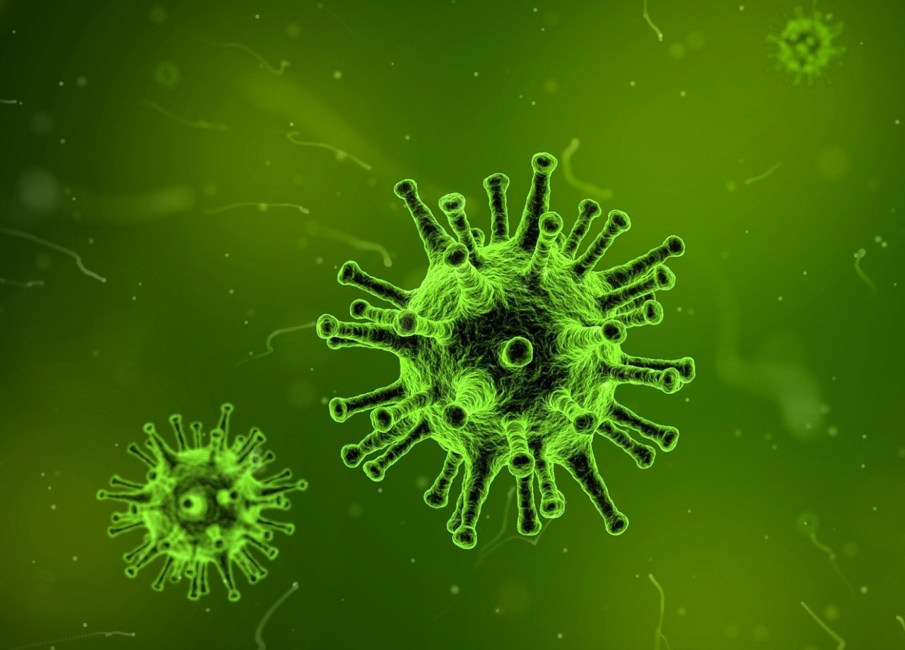 virus-1812092_1920-1 Corona Virus - Was bedeutet das für Euch und eure Pferde? Allgemein RG-Hof-Höherhaus Regeln Corona Bleibt gesund