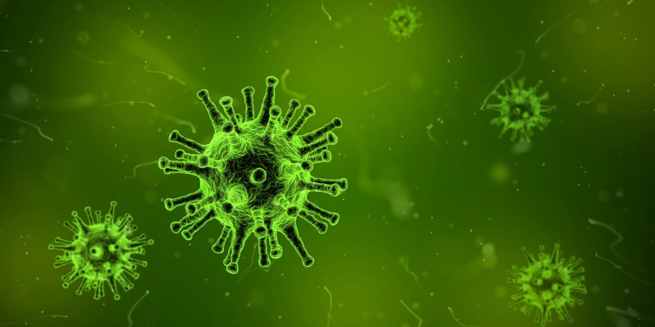 virus-1812092_1920 Corona Virus - Was bedeutet das für Euch und eure Pferde? Allgemein RG-Hof-Höherhaus Regeln Corona Bleibt gesund