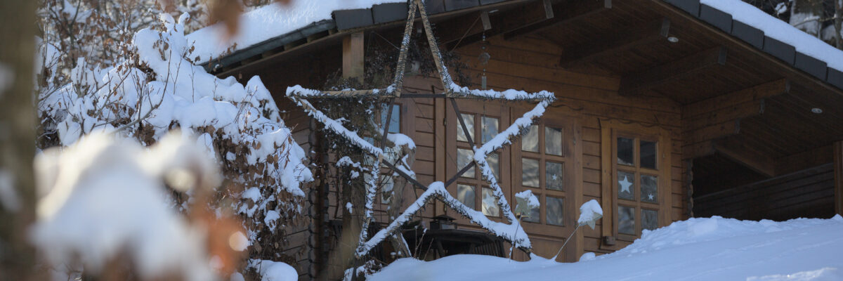 Der schöne Stern von Hunds
